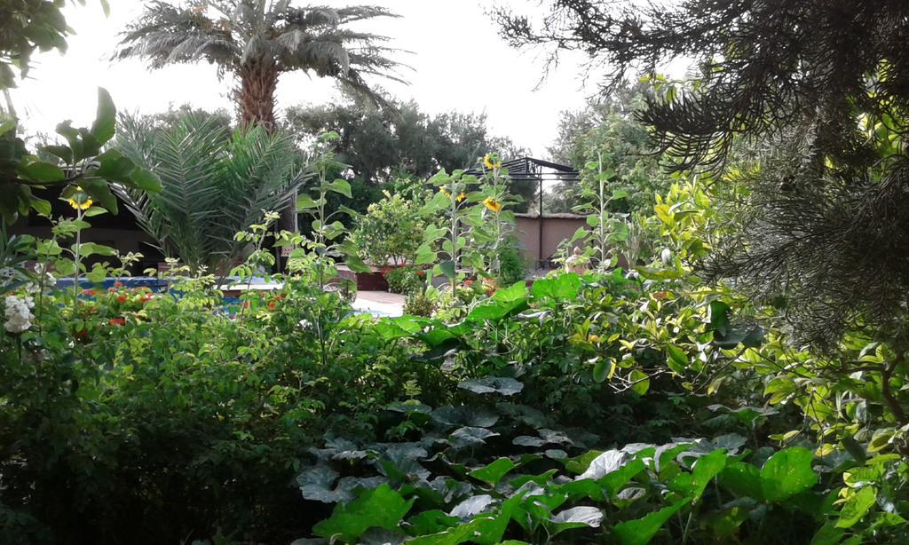 Bed and breakfast Bassatine Skoura Extérieur photo